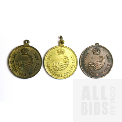 3x Australian Agricultural Society Show Souvenir Medals 1923 & 1925