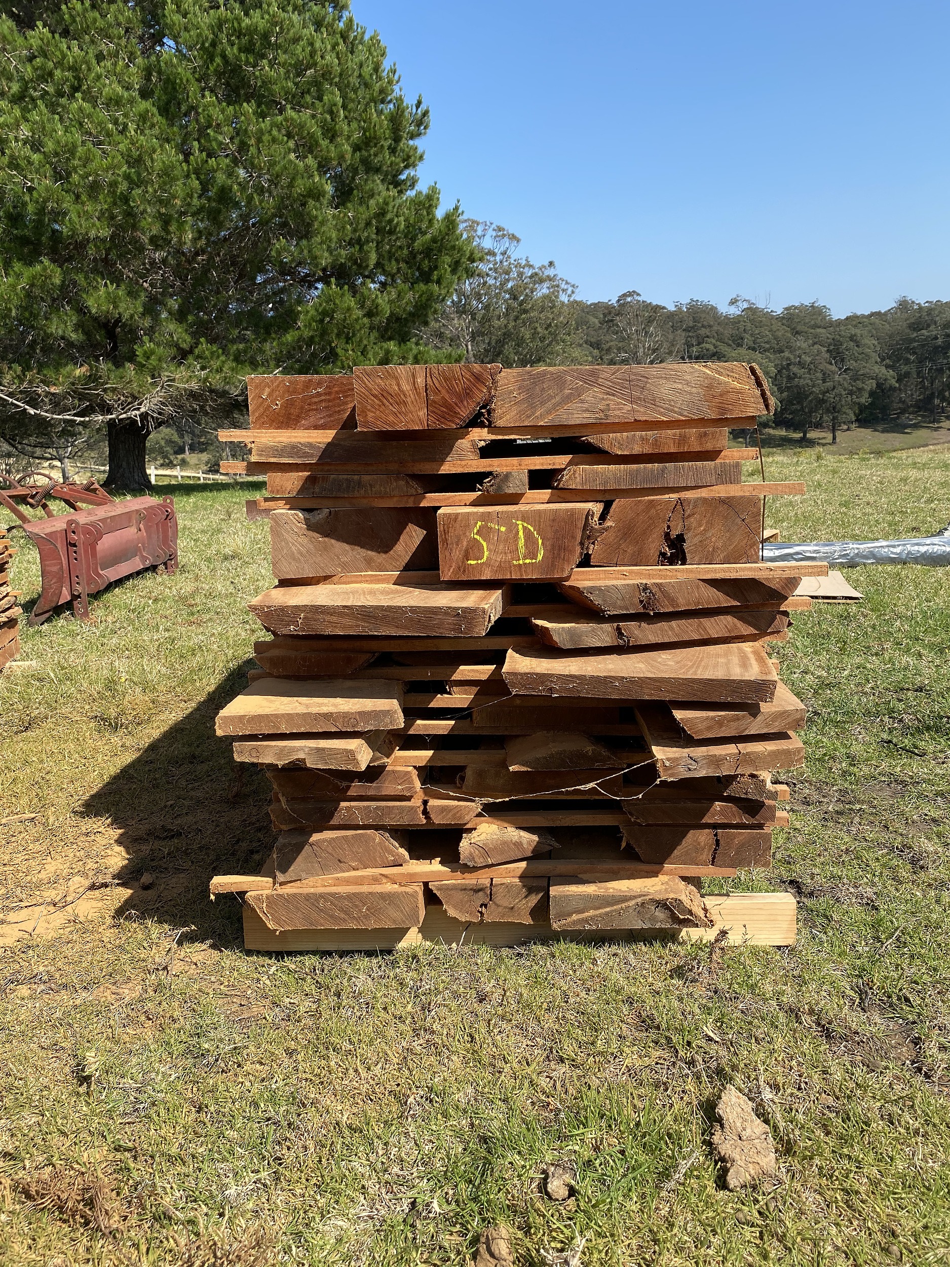 Australian Red Cedar Hardwood Timber Lot 1157367 Allbids