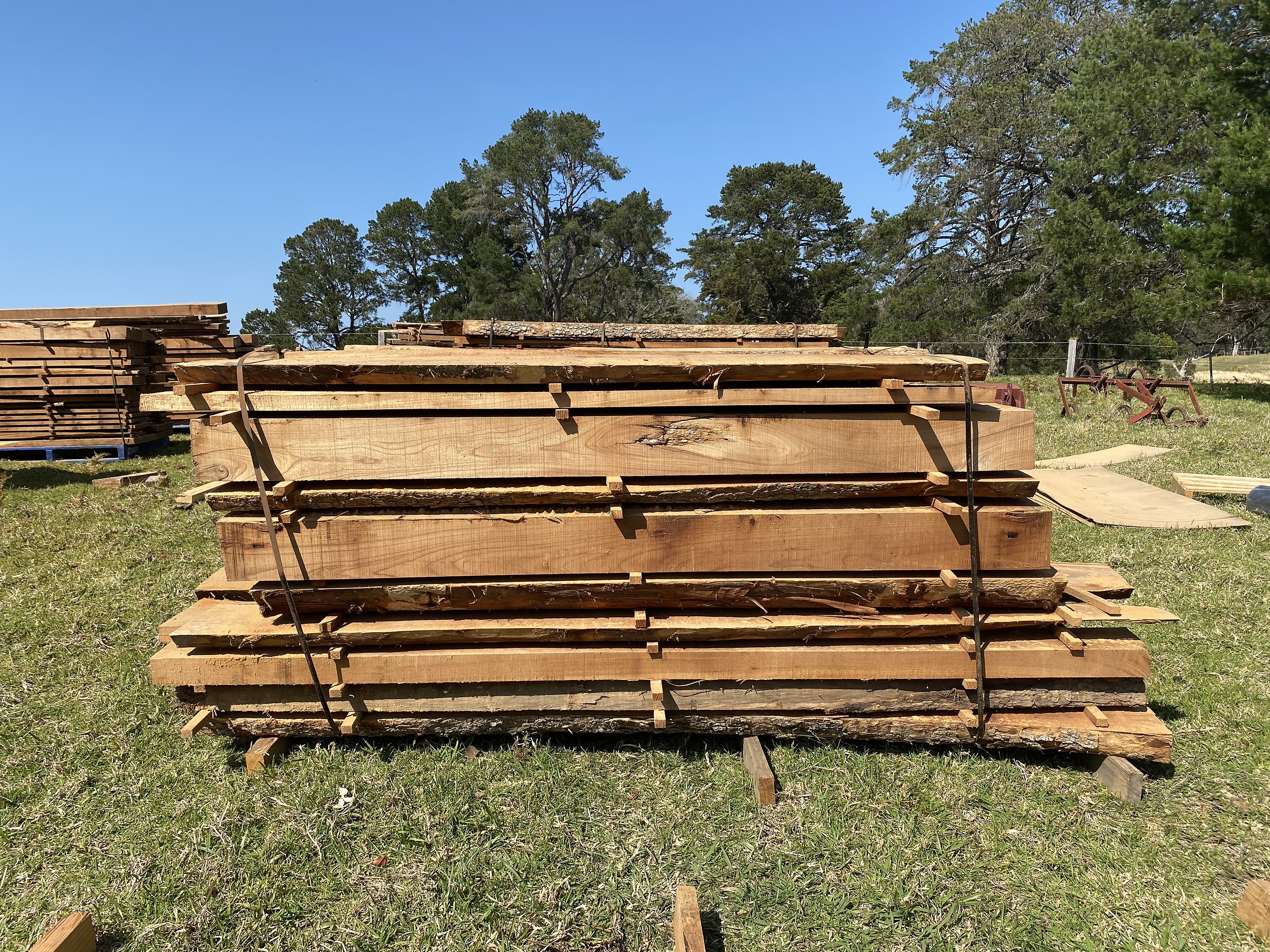 Australian Red Cedar Hardwood Timber Lot 1157366 Allbids