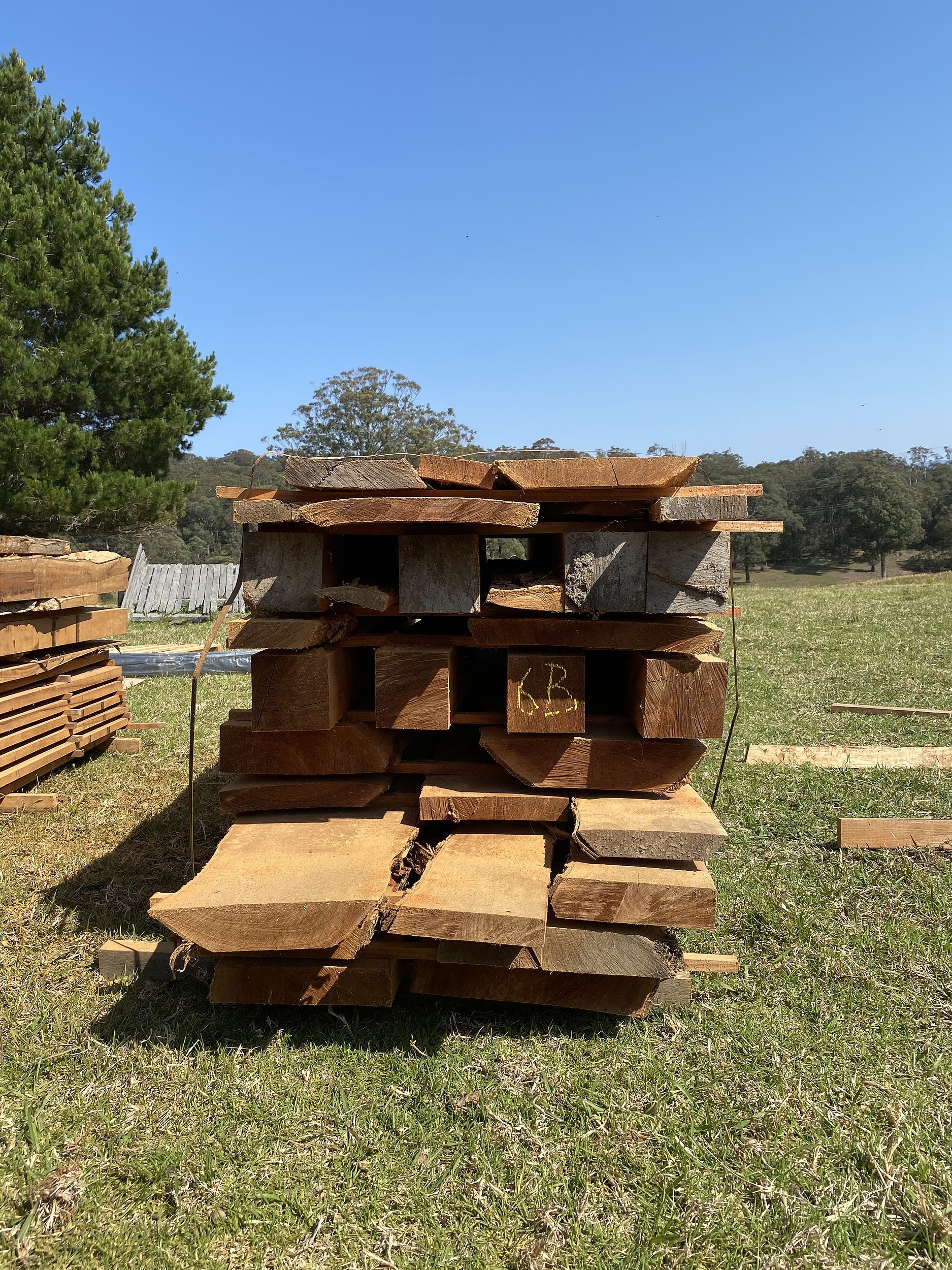 Australian Red Cedar Hardwood Timber Lot 1157365 Allbids