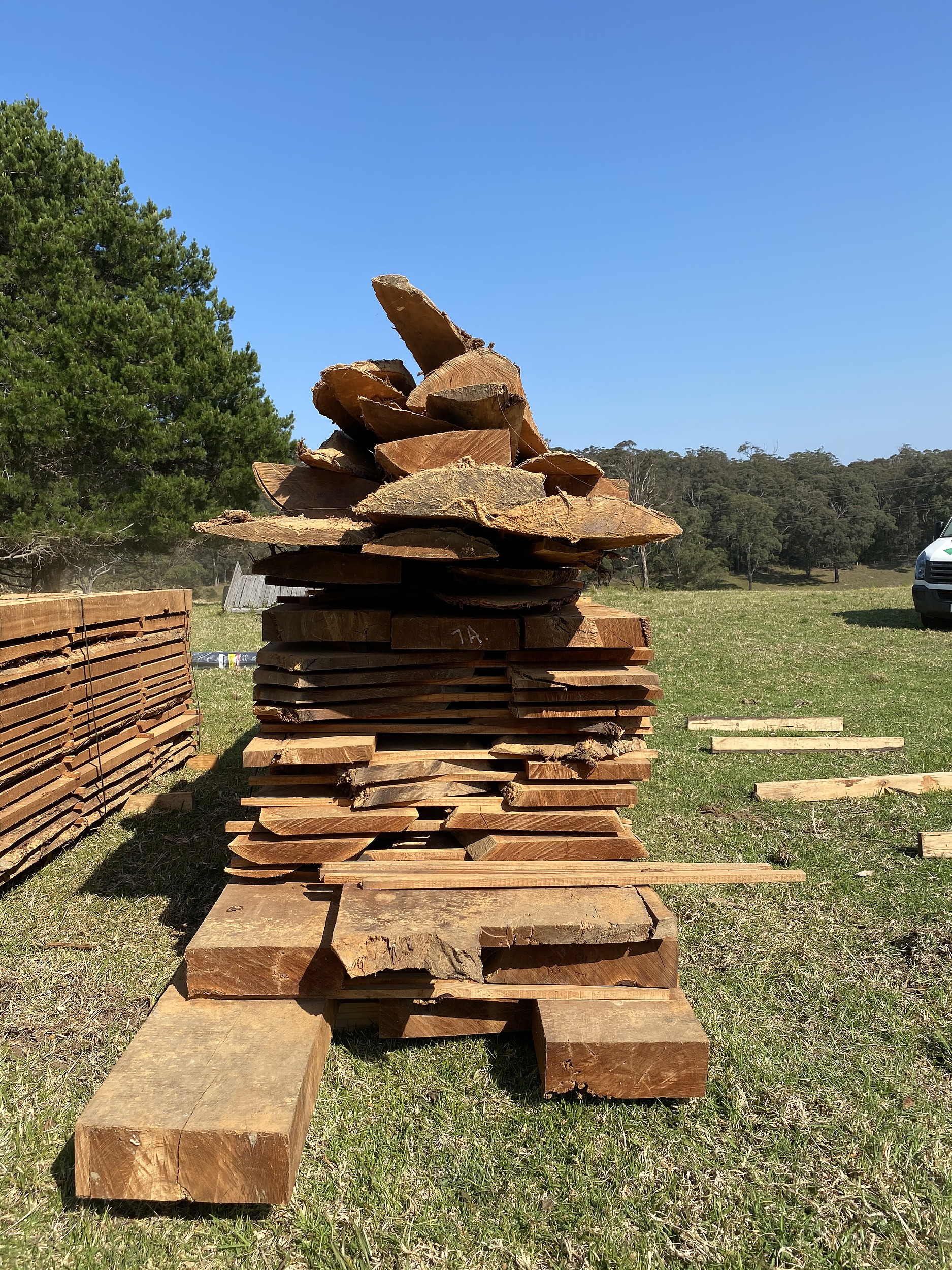 Australian Red Cedar Hardwood Timber Lot 1157363 Allbids