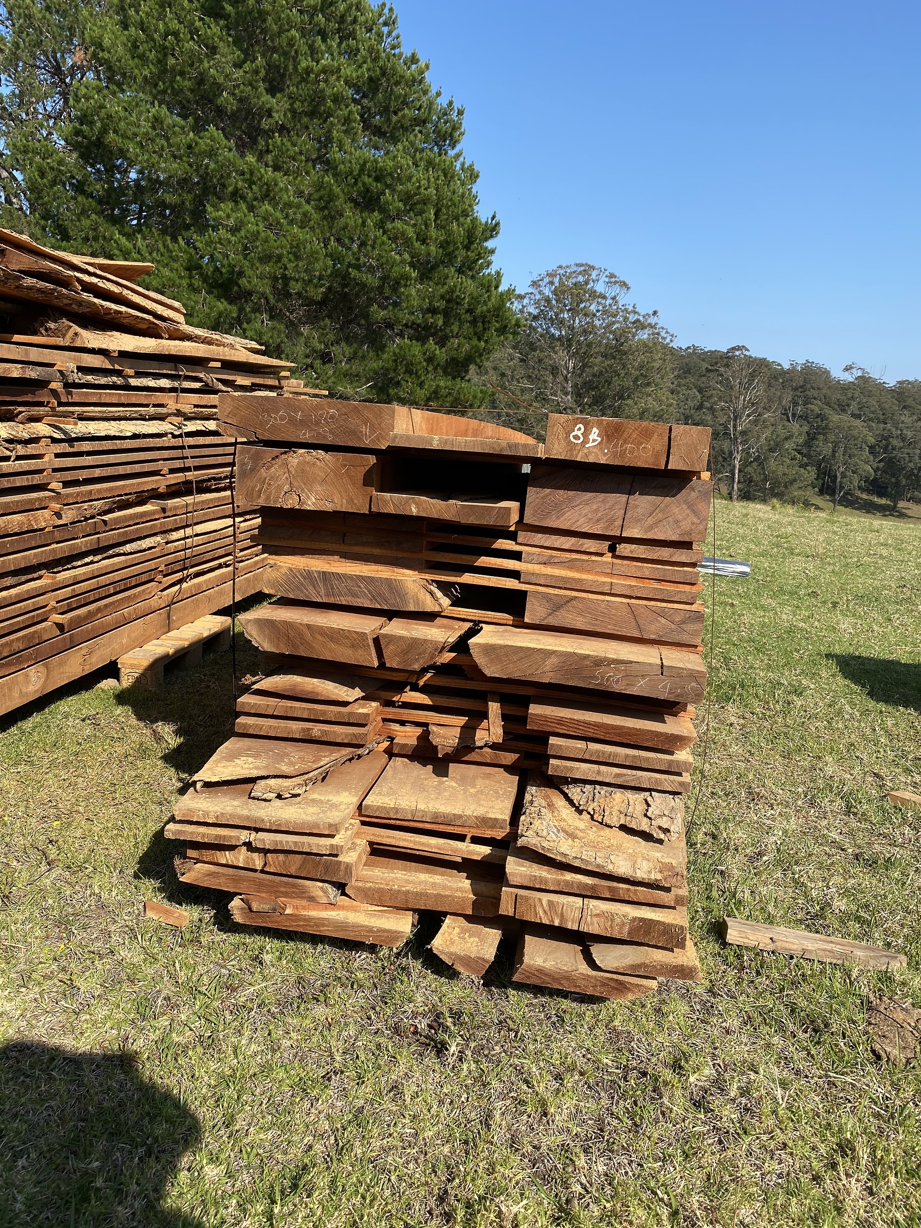 Australian Red Cedar Hardwood Timber Lot 1157360 Allbids