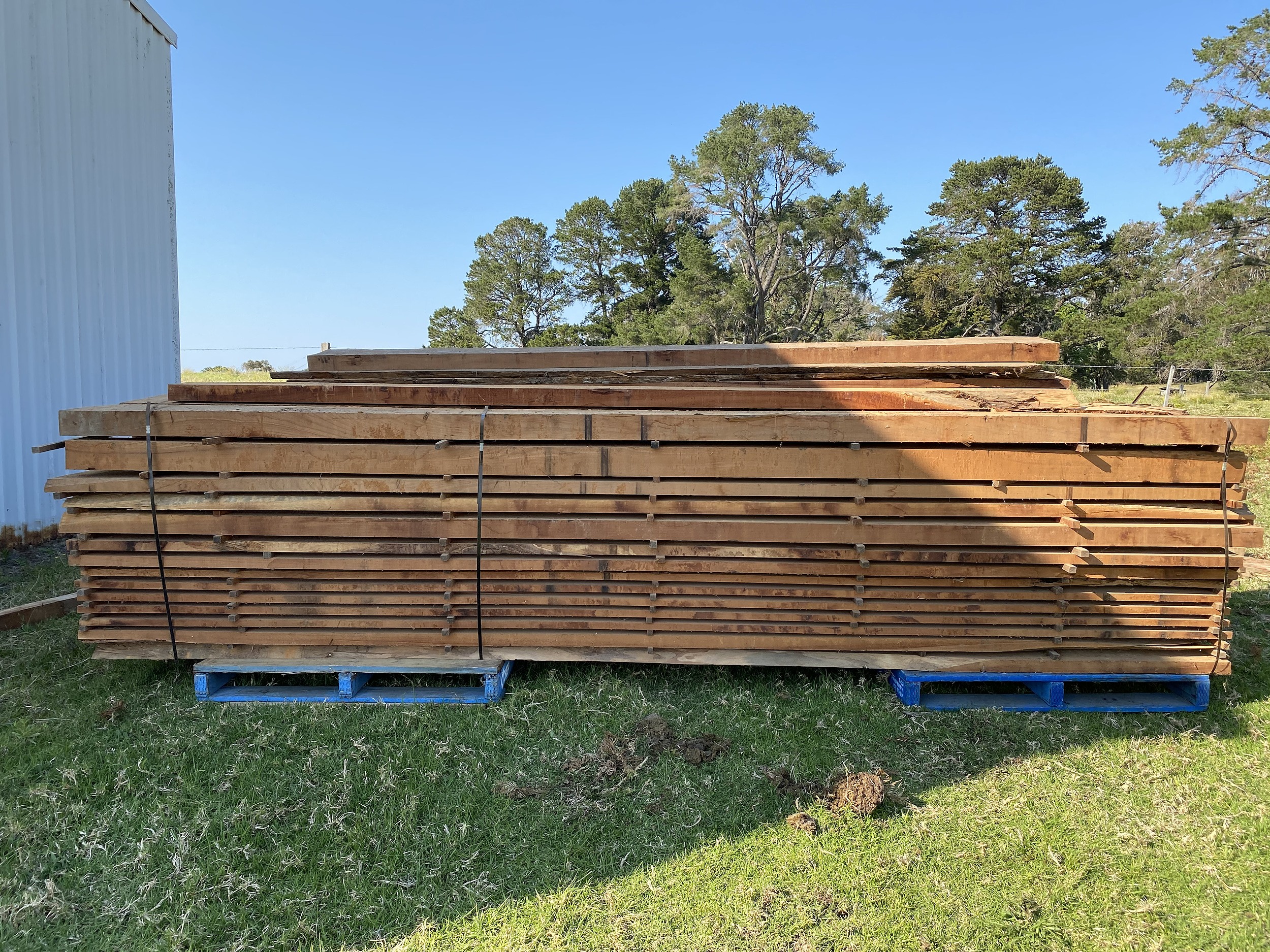 Australian Red Cedar Hardwood Timber Lot 1157357 Allbids