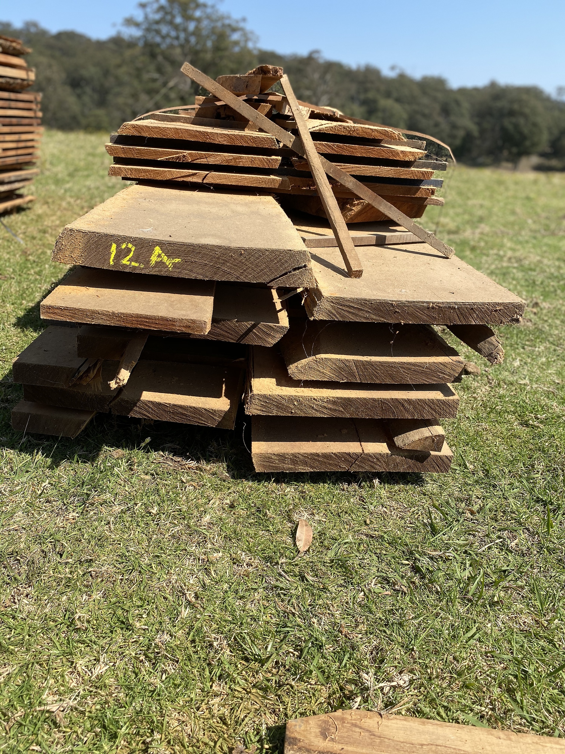 Australian Red Cedar Hardwood Timber Lot 1157350 Allbids