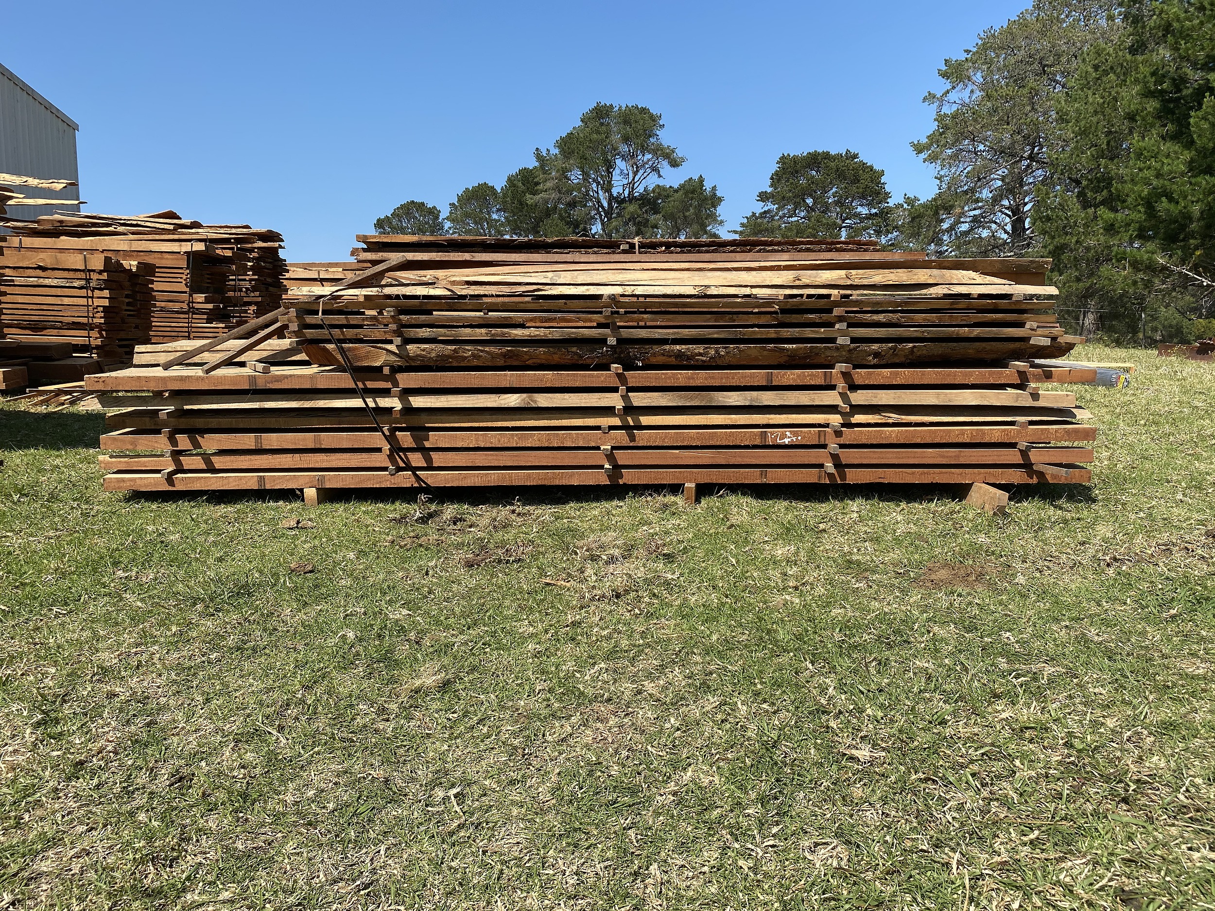 Australian Red Cedar Hardwood Timber Lot 1157350 Allbids