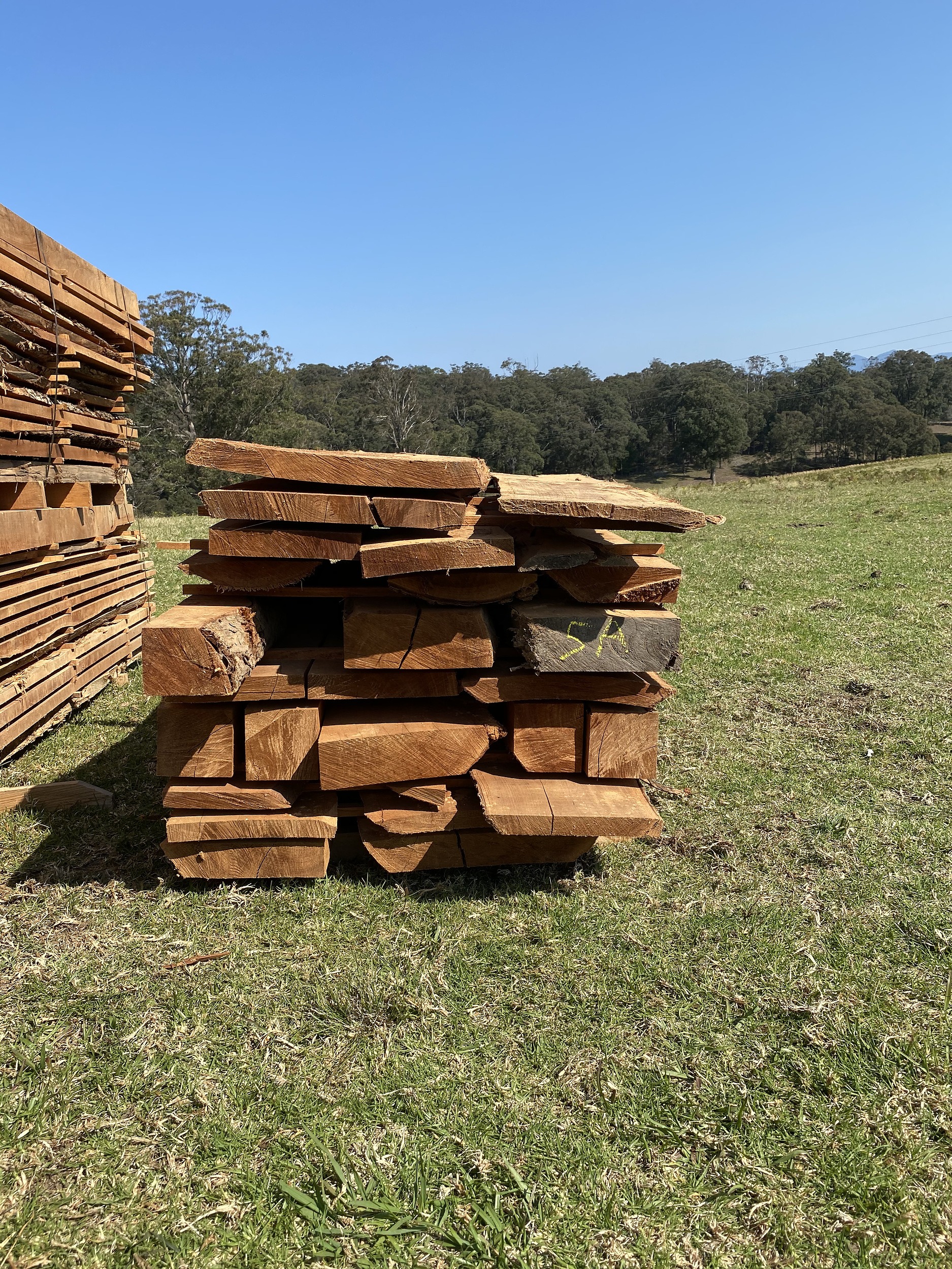 Australian Red Cedar Hardwood Timber Lot 1157370 Allbids