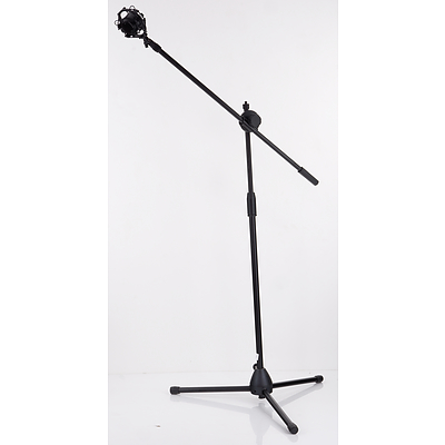 Proffessional Microphone Stand with Pop Filter Holder (SM-4S)