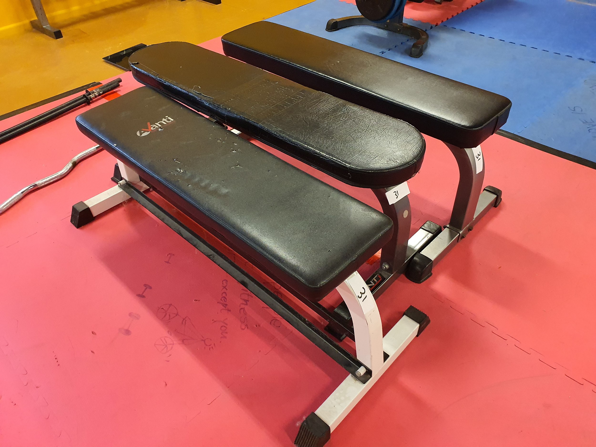 Padded Gym Benches Lot of 3 Lot 1171242 ALLBIDS