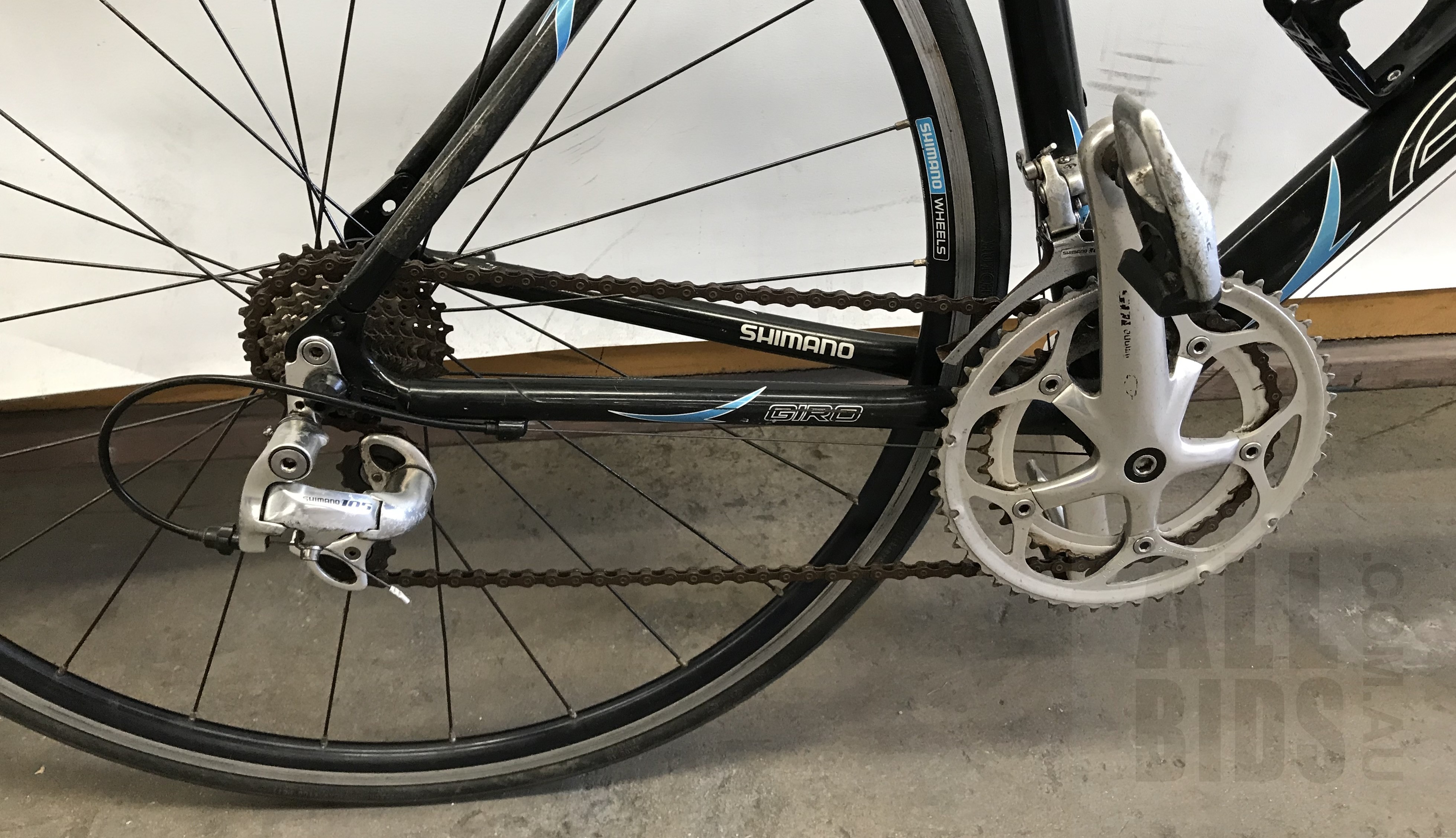 avanti giro er c