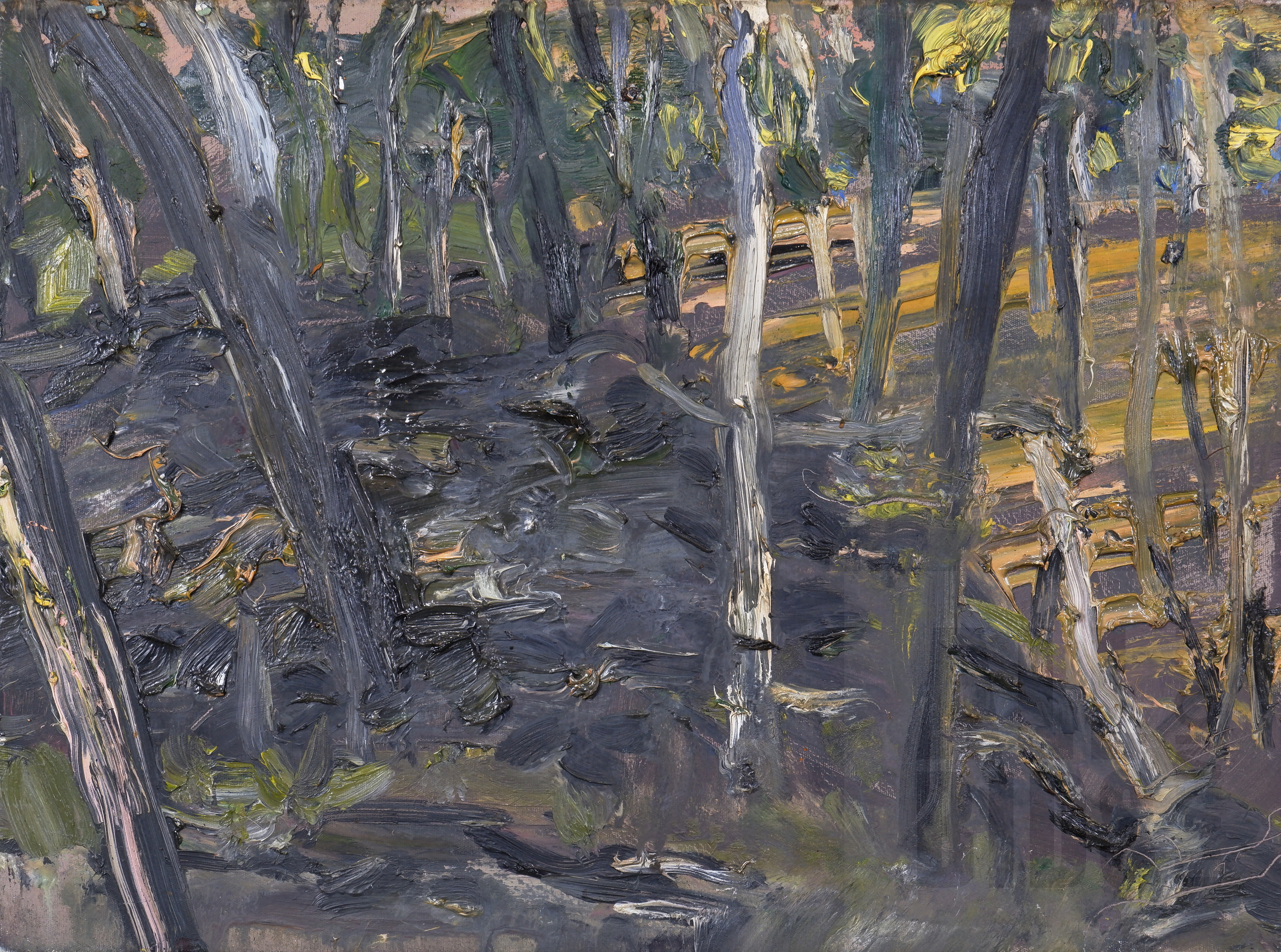 'Euan Macleod (born 1956), Mound Through Trees (Bathurst) 2001, Oil on Canvas, 38 x 51 cm'