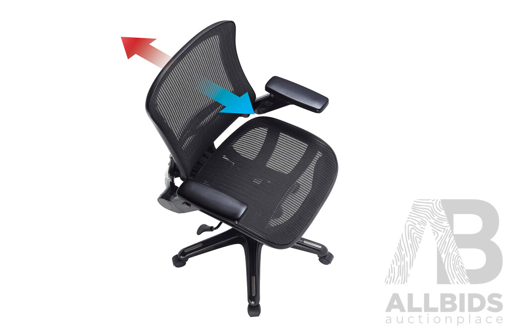 Whalen () Mesh Office Chair - Lot 1442631 | ALLBIDS